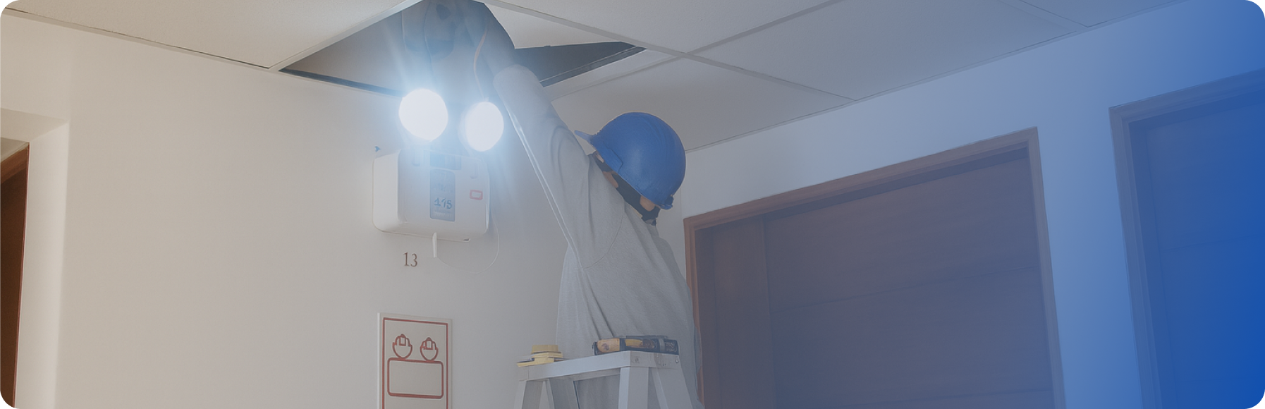 Desinfección profesional